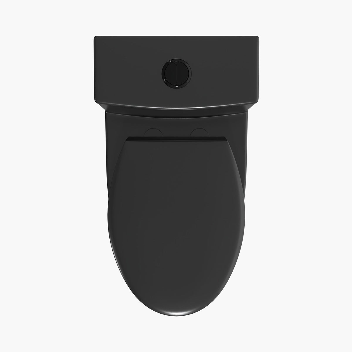 T0338B matte black one-piece toilet