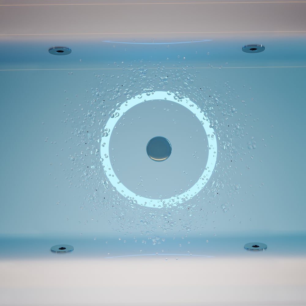 67" 2-Person Whirlpool Bathtub with Massage Jets & Thermostatic Control