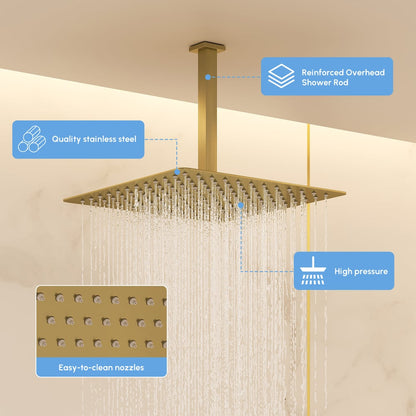 Dual Head Shower System – 12" Ceiling & 8" Wall Shower with Handheld, Solid Brass