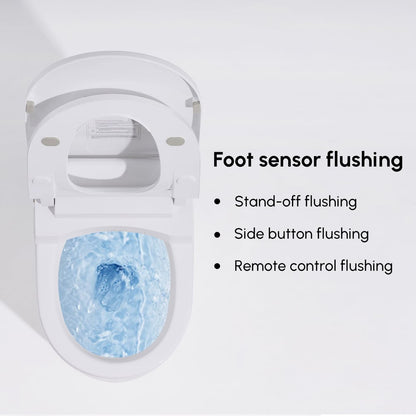 Fitro H1 Compact Smart Bidet Toilet with Deodorization and Automatic Flushing, 1.32 GPF