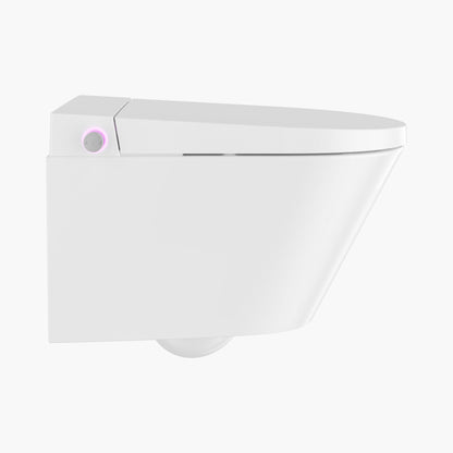 HOROW G10 Wall Hung Toilet