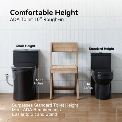 HOROW T0338B-10 10-Inch Rough-In Matte Black One-Piece Dual Flush Toilet, ADA Compliant