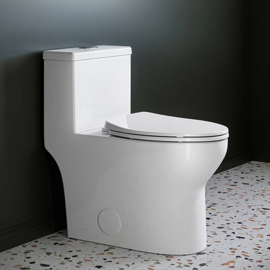 HOROW T0350W One-Piece Dual Flush Toilet, ADA-Height 17.3-Inch