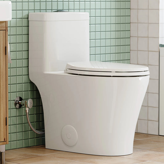 HOROW T0351W ADA Dual Flush One-Piece Toilet, 12-Inch Rough-In