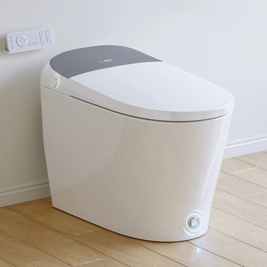 HOROW T03Pro Smart Toilet