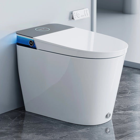 HOROW T38P Smart Toilet