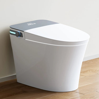 T37 Smart Toilet