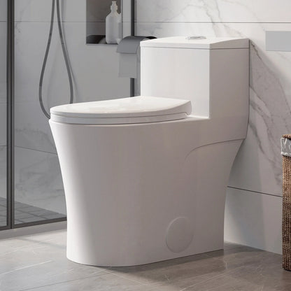 HOROW T0338W-10 10-Inch Rough-In One-Piece ADA Toilet with Dual Flush