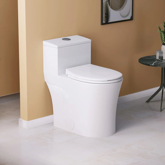 HOROW T0338W 12-Inch Rough-In One-Piece ADA Toilet with Dual Flush