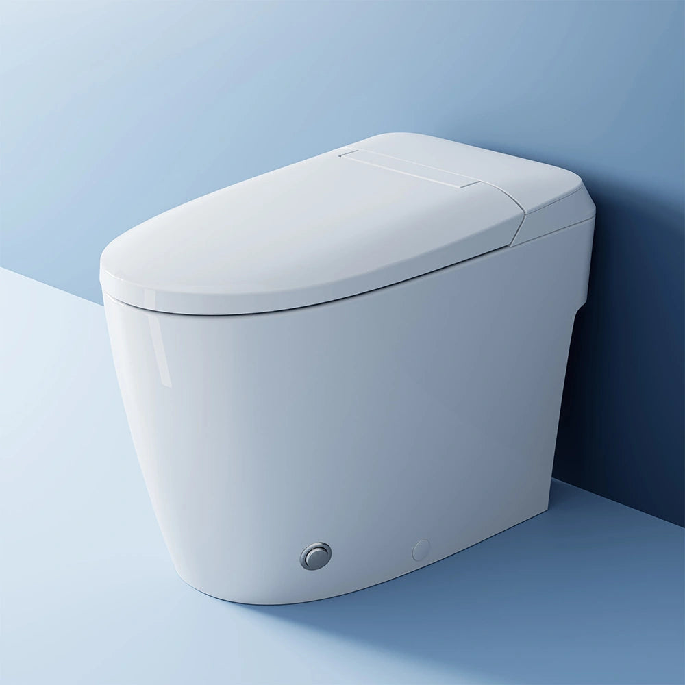 HOROW T30 Bidet Toilet