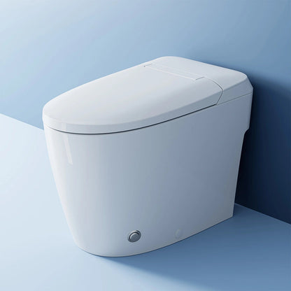 HOROW T30 Bidet Toilet