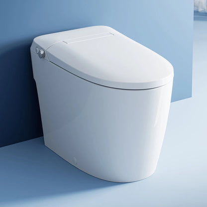 HOROW T30 Bidet Toilet