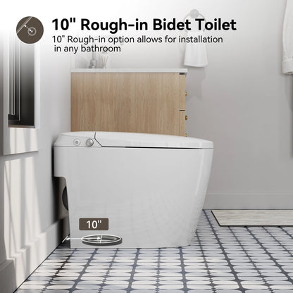 HOROW T30-NE Bidet Toilet